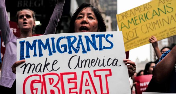The Immigrant Role in the United&nbsp;States